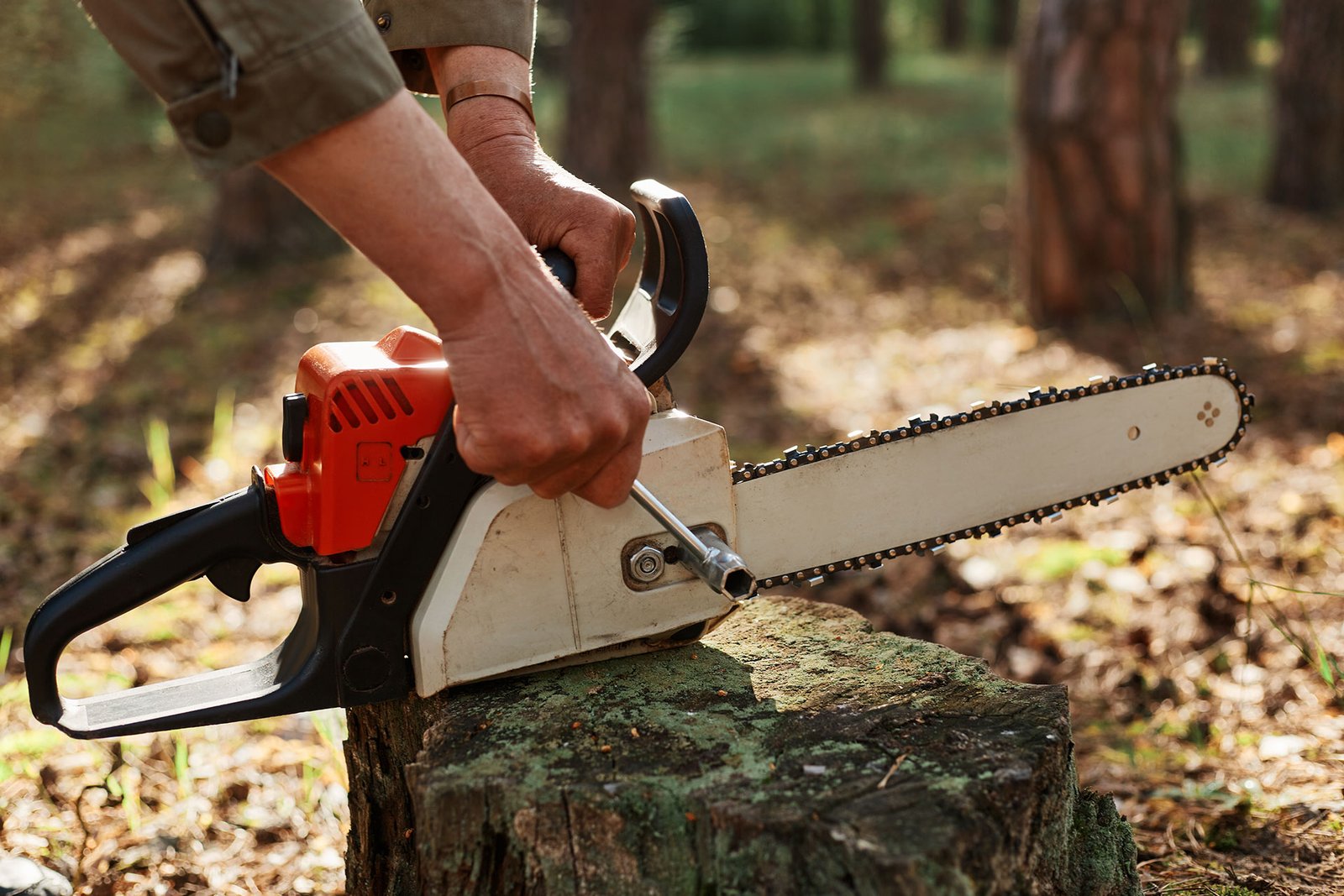 Tree removal